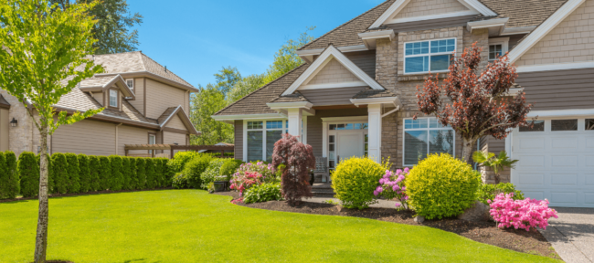 Leaf Removal Forney TX